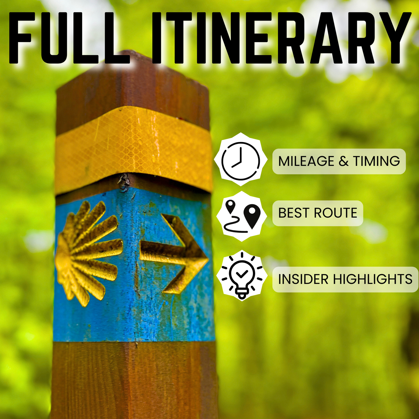 Ultimate Step by Step Digital Guide Preparing you for the Camino Frances (2026 Edition)