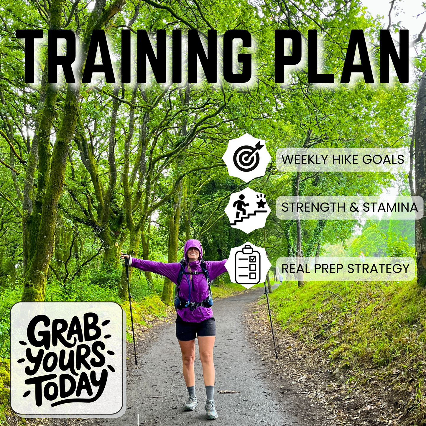 Ultimate Step by Step Digital Guide Preparing you for the Camino Frances (2026 Edition)