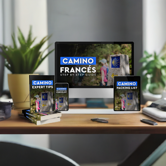Camino Guide: Ultimate Step by Step Guide Preparing you for the Camino Frances (DIGITAL PRODUCT)
